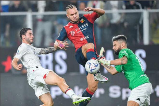 的成功举办 的成功举办