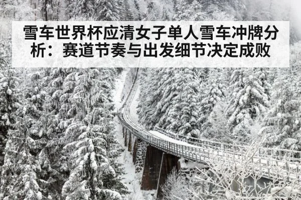 雪车世界杯应清女子单人雪车冲牌分析：赛道节奏与出发细节决定成败 | kaiyun
