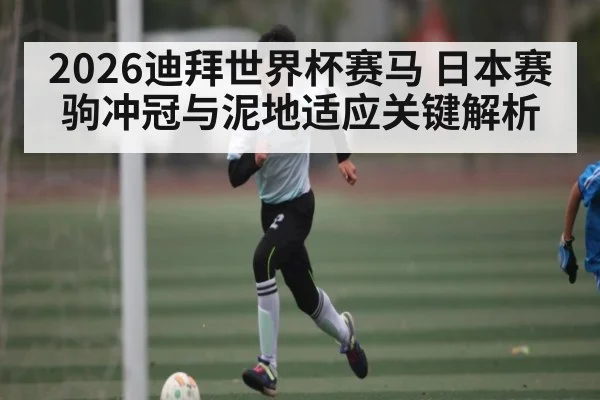 2026迪拜世界杯赛马 日本赛驹冲冠与泥地适应关键解析 | kaiyun